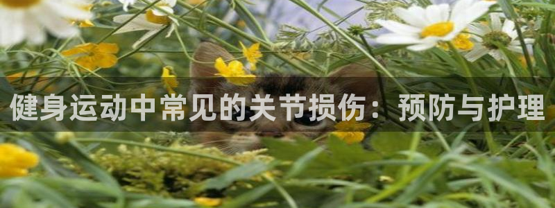 k1体育娱乐