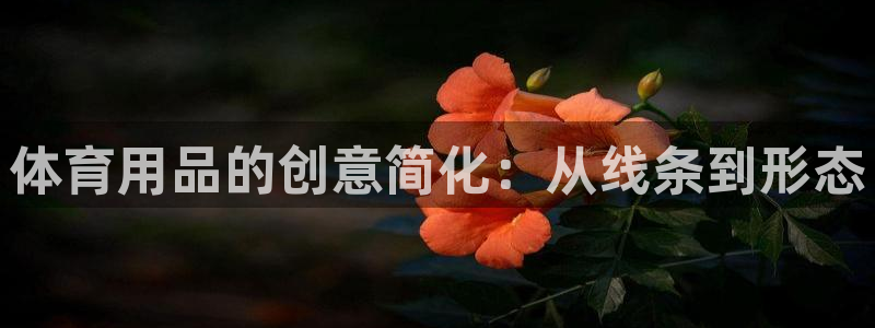 k1体育链接多少