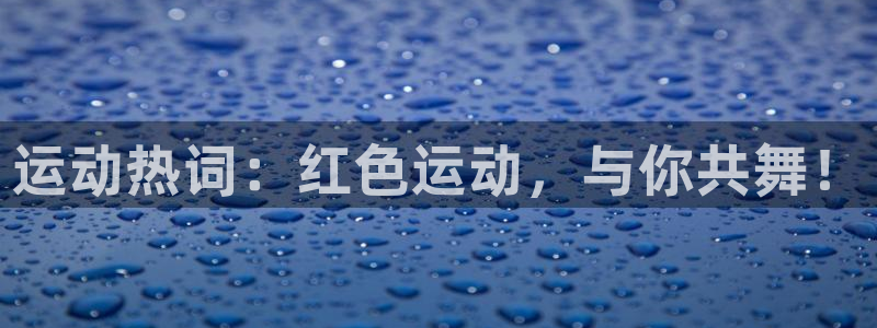 k1体育网站登录官网