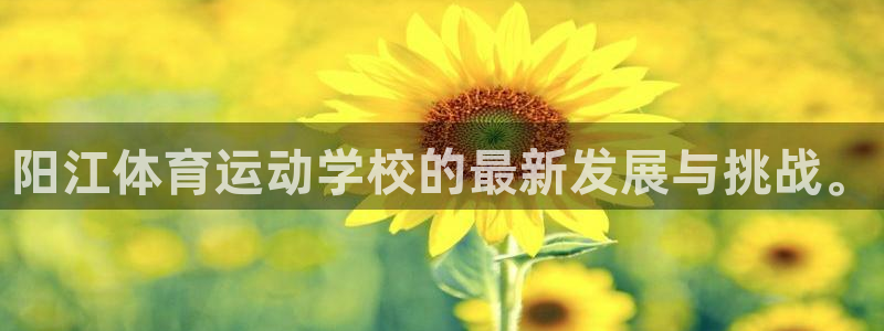 k1体育娱乐