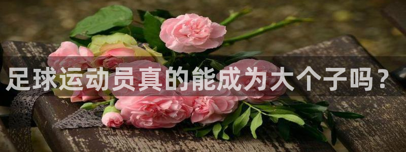 k1体育十年平台