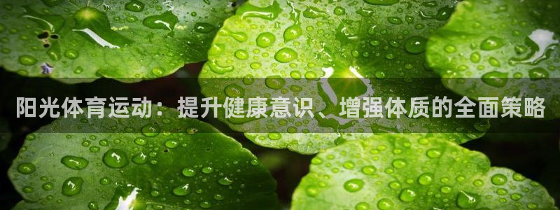 k1体育网站登录官网