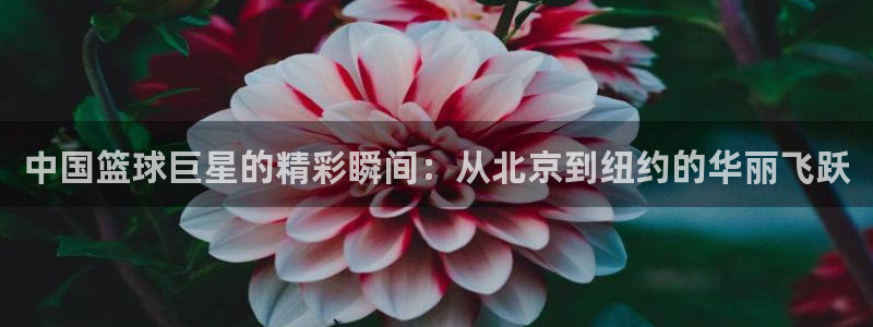 k1体育链接