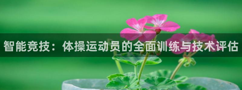 帮k1体育在线登录