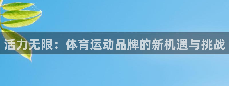 k1体育十年平台