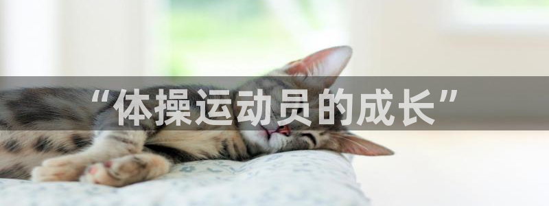 k1体育网址
